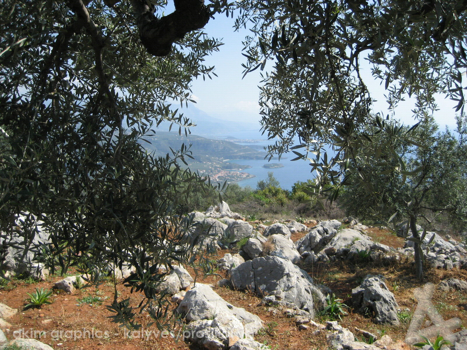 OIKIA_13